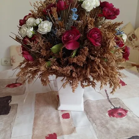 Lejlighed Vasiliko *