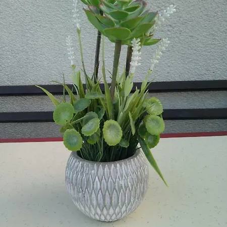 Vasiliko Lejlighed Tsarevo