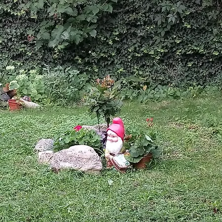 Vasiliko Appartement Tsarévo