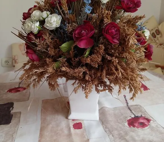 Appartement Vasiliko *